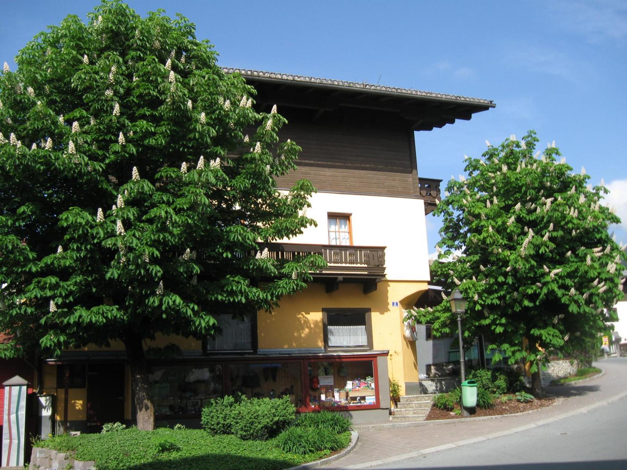 Haus Am Dorfplatz Leilighet Uttendorf Eksteriør bilde